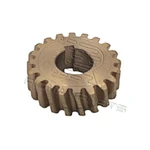 20 teeth Snow Blower Worm Gear